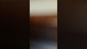 1000004712.mp4
