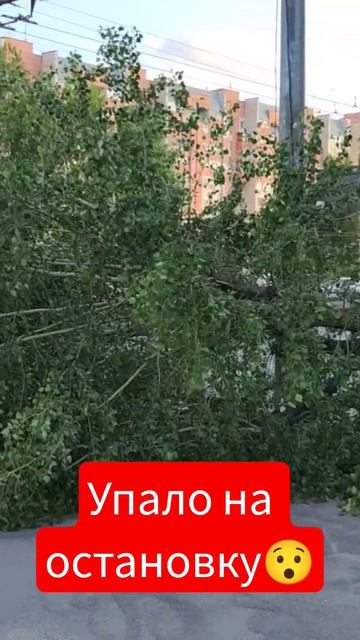 свалилось прямо на людей смотреть онлайн