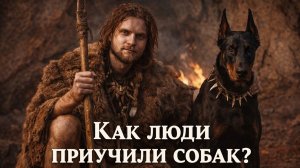 Как люди приучили собак?