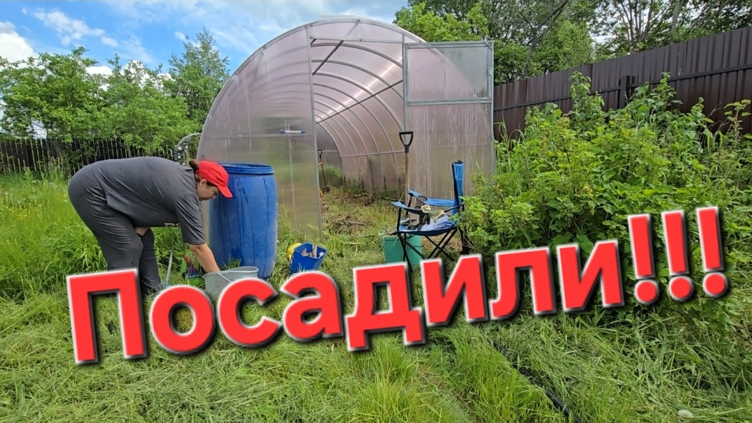 07-06-2026 Все посадили в теплицу // Работаем вместе // Меня накрыло. смотреть онлайн