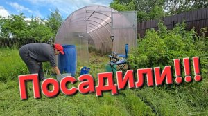 07-06-2026 Все посадили в теплицу // Работаем вместе // Меня накрыло.