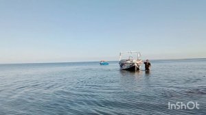 В Ейске+35☀️ Обстановка на Лимане, отдыхающие счастливы ☀️ Впервые вижу☀️