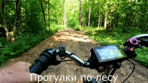 Прогулки по лесу. Дорога перепахана, еле попал в пес.