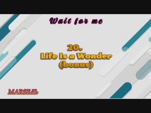 20. Life Is a Wonder(bonus)