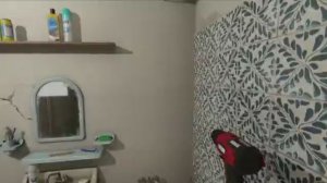 Симулятор поляка