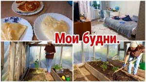 Мои будни// Что готовлю// Чем занимаюсь