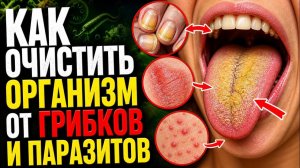 Полная очистка организма от грибков, плесени, паразитов и кандидоза. Никогда не кормите их...