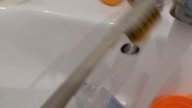 Вечерний. ВЛОГ С Милкой смотреть онлайн