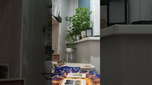 Карта дня
