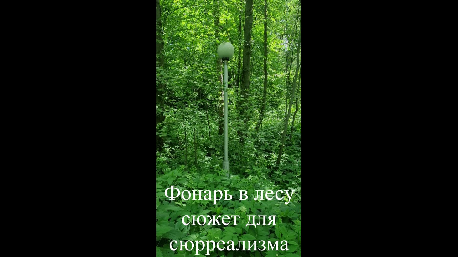 07.06.2026 Идём вдоль Рожайки к Водопаду.