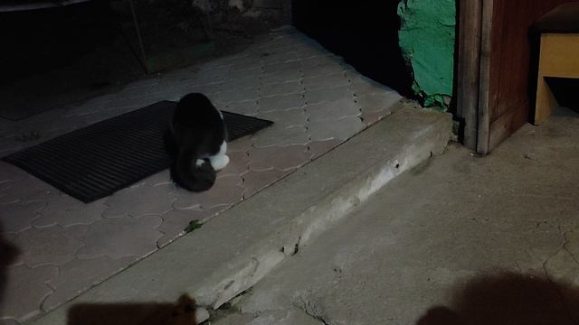 1000036821.mp4 смотреть онлайн