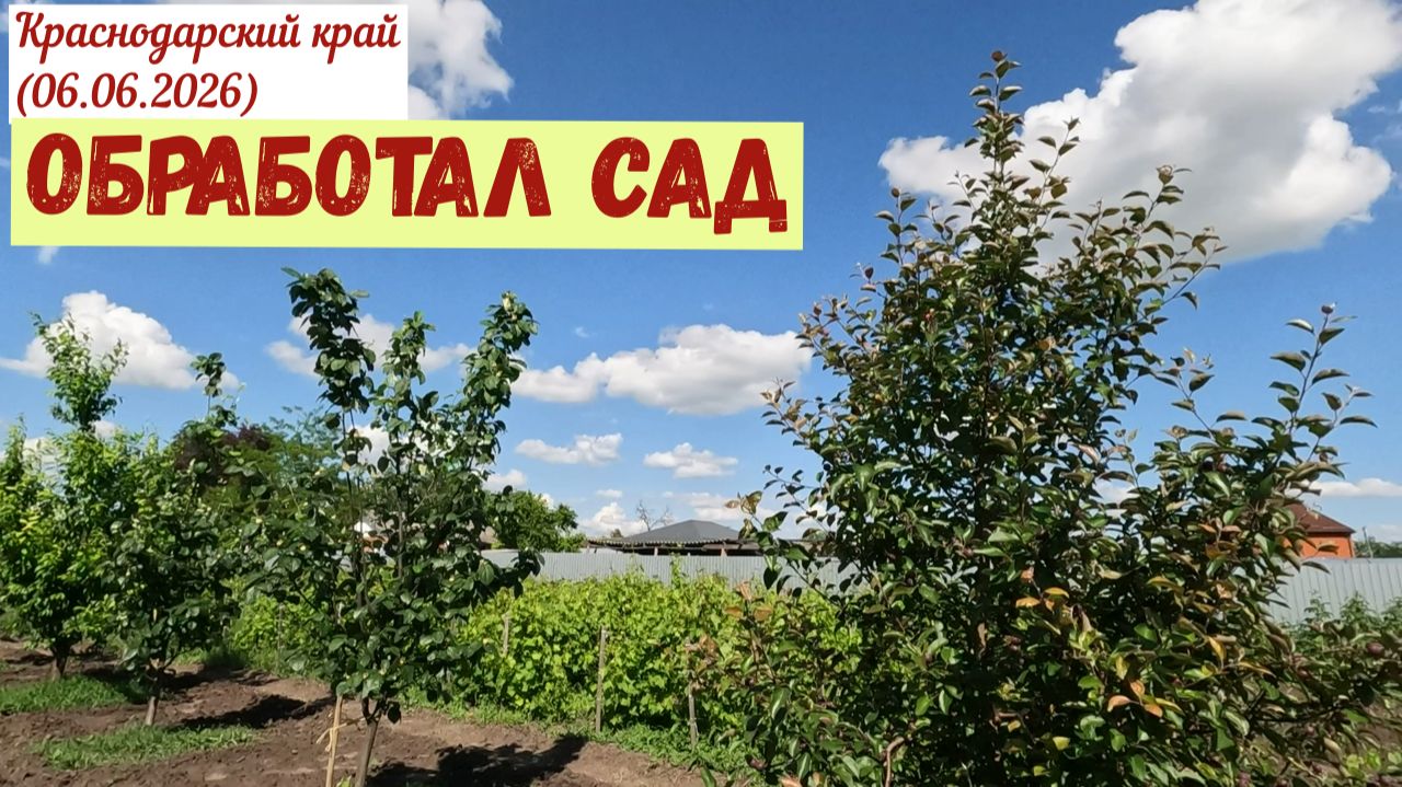 Краснодарский край. Обработал участок(06.06.2026)