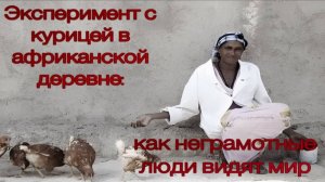Эксперимент с курицей в африканской деревне: как неграмотные люди видят мир