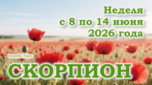 СКОРПИОН | ТАРО прогноз на неделю с 8 по 14 июня 2026 года