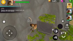 играю в animal kingdoms открывая сундуки