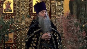 «Будьте совершенны, как  Отец ваш Небесный совершен есть». Проповедь о. Артемия Владимирова. 060626.