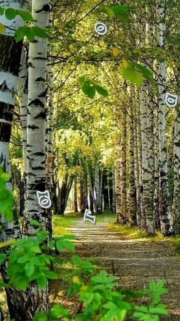 Чудесного утра! 🥰 смотреть онлайн