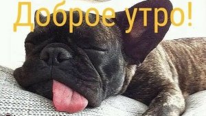 С добрым утром воскресенья. Шикарная музыкальная открытка.