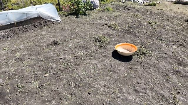 Дача преображается / Привезли стройматериалы