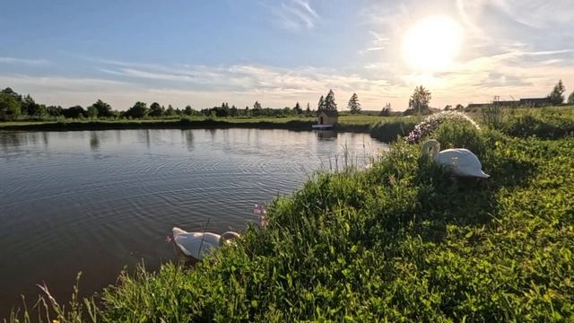 Ферма Российские альпаки
