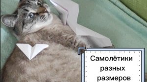 🙀😏😄 Самолётики разных размеров! От самого маленького до самого большого!🔥😍🤗