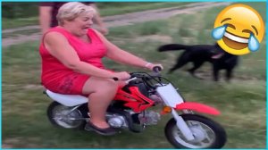 Лучшие смешные видео 🤣 - Люди, которые идиоты 🤣 Попробуй не смеяться - ОТ Funny Dog 🏖️ #95