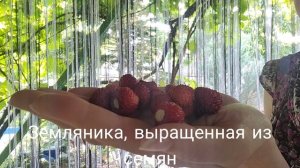 летний денек, жара, июнь