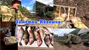 Переселение, ранний картофель - секрет Иваныча, вкусный обед