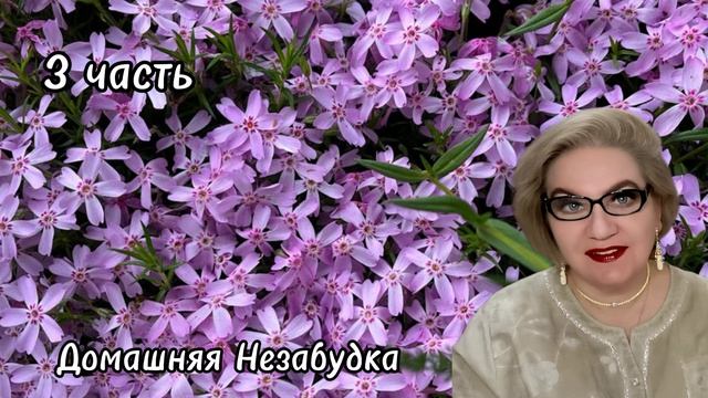 3 часть. С@пля выторговывает лучшие условия❗️Будет ли встреча с СЕРЁГОЙ ПИТЕРСКИМ❓️ смотреть онлайн