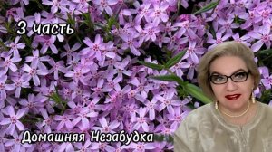 3 часть. С@пля выторговывает лучшие условия❗️Будет ли встреча с СЕРЁГОЙ ПИТЕРСКИМ❓️