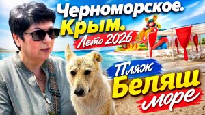 07.06.26 Крым! Черноморское. Пляж июнь 2026.Беляш хозяин❗️
