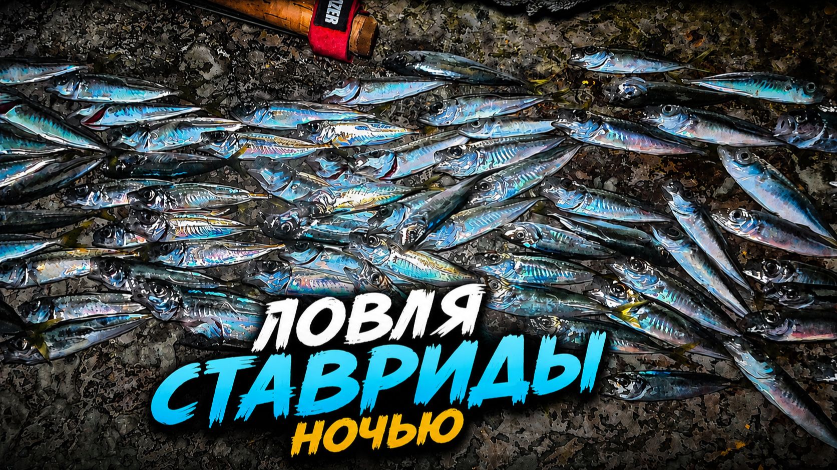 Ловля ставриды ночью. Рыбалка в Сочи смотреть онлайн