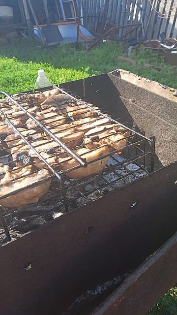 ШАМПИНЬОНЫ НА МАНГАЛЕ смотреть онлайн