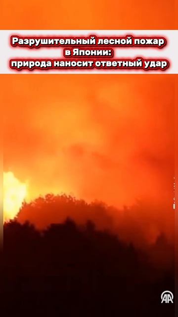 Пожар в Японии смотреть онлайн