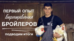 Выгодно ли выращивать бройлеров?? Наш опыт с цифрами. Спасаем подкидышей!
