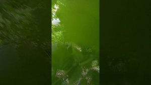 Прятки