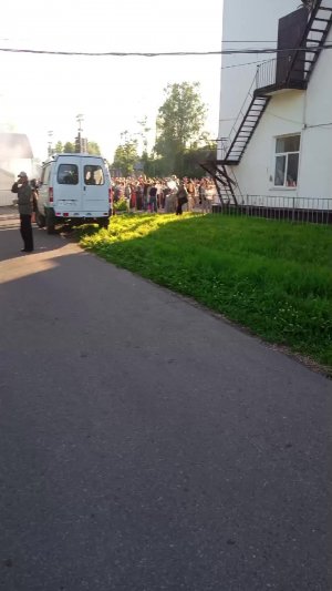 шок контент