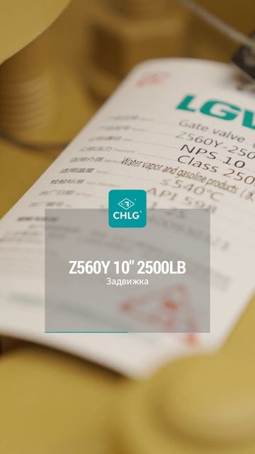 Z560Y 10'' 2500LB Запорный затвор-CHLG