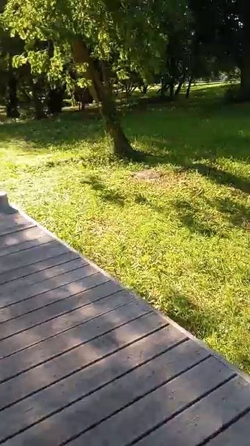 обзор на парк 3 смотреть онлайн