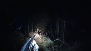 ОХОТА на БОБРА с ружьем осенью. СЕКРЕТ УДАЧНОЙ ОХОТЫ