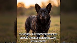 Знакомство с Мега Троицей🔥