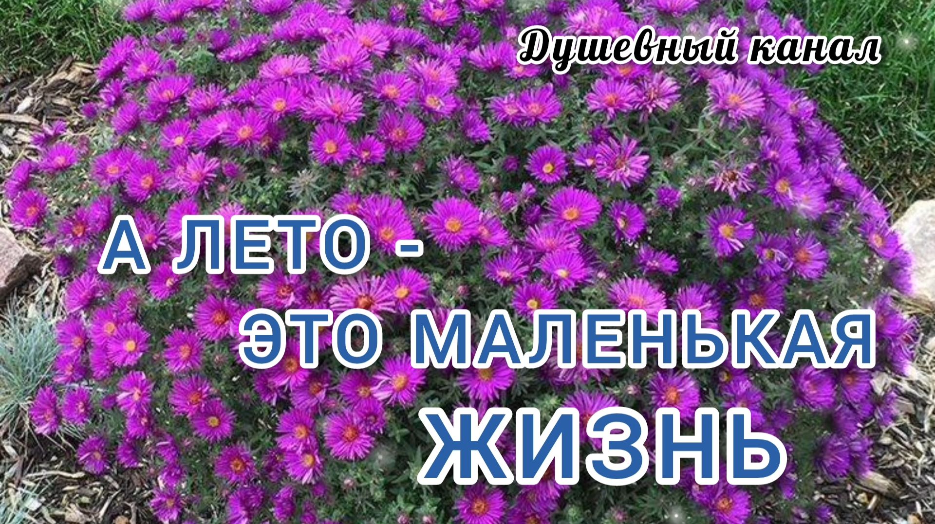 А ЛЕТО- ЭТО МАЛЕНЬКАЯ ЖИЗНЬ. 5 КРАСИВЫХ ПЕСЕН О ЛЕТЕ