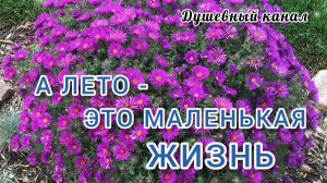 А ЛЕТО- ЭТО МАЛЕНЬКАЯ ЖИЗНЬ. 5 КРАСИВЫХ ПЕСЕН О ЛЕТЕ