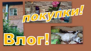 ВЛОГ: ПОКУПКИ В ФИКС ПРАЙС И ВАЙЛДБЕРРИЗ!