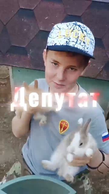 эдит кролики!))) смотреть онлайн