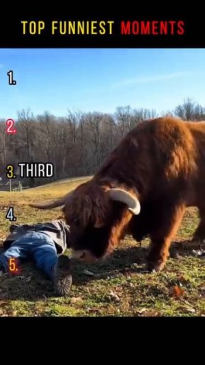 Top Funniest moments 😂