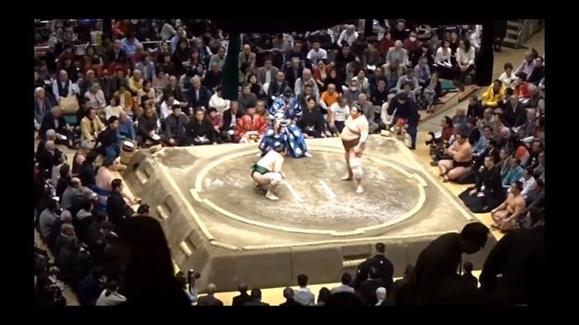 Последние новости из мира сумо Сумо на русском (Sumo news) смотреть онлайн