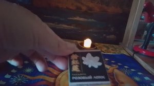 Гадание на пасьянсе «Розовый Лотос».