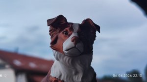 Дрессировка Мисти