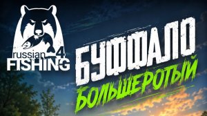 [Фидер] Точка на «Буффало большеротый» р. Ахтуба [RF-4]